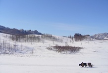 Gorkhi-Terelj National Park